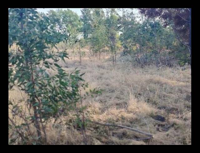 LAND FOR SALE IN GLEN AUSTIN